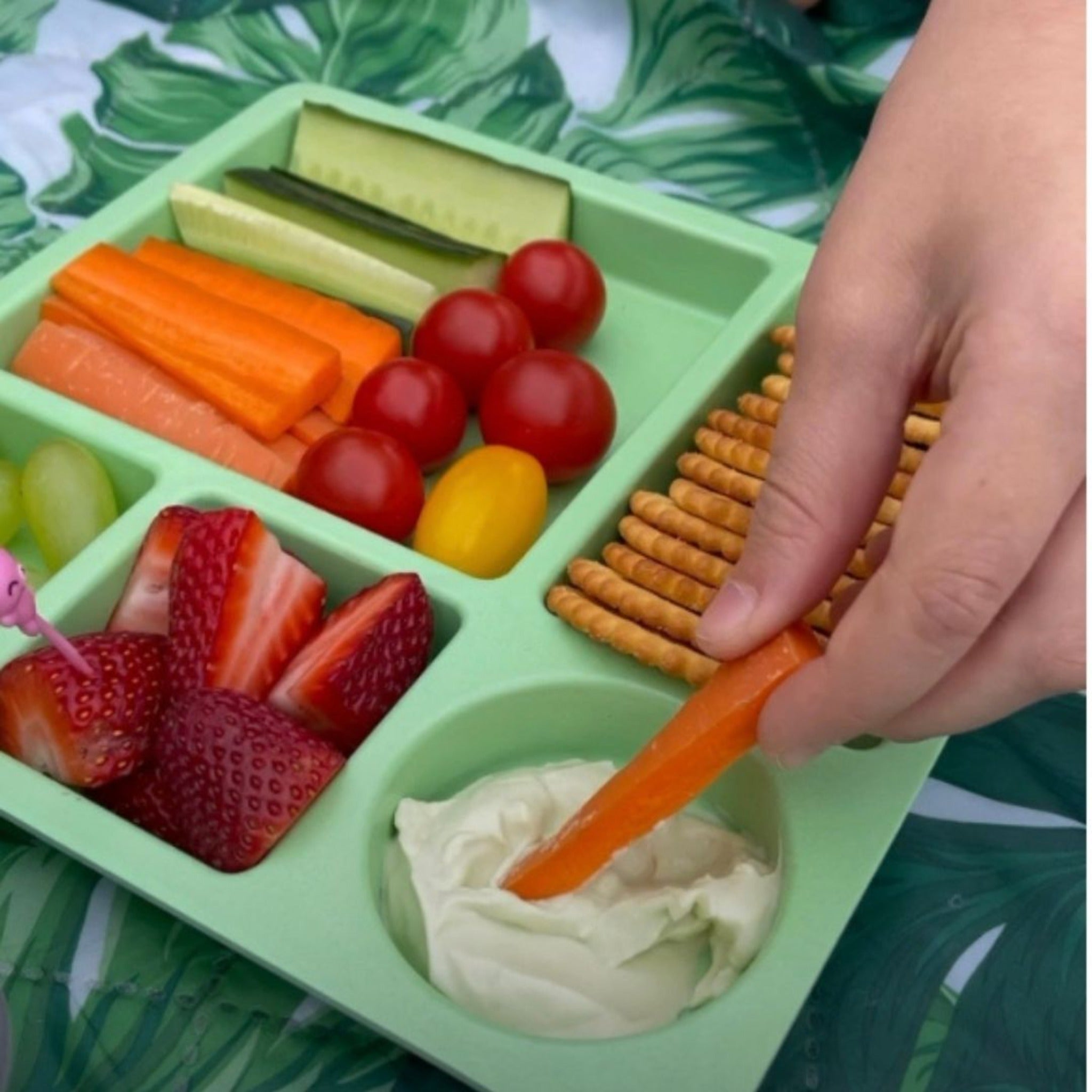 Green Divided Bamboo Plate  Bamboo Plates For Toddlers & Kids